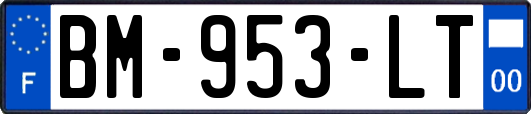 BM-953-LT