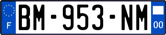 BM-953-NM