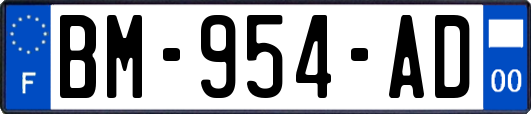 BM-954-AD