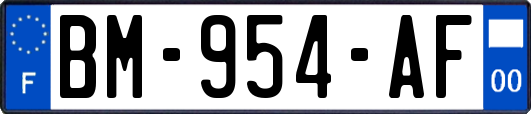 BM-954-AF