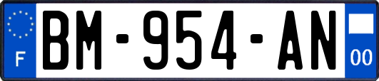 BM-954-AN