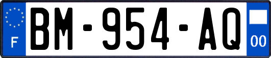 BM-954-AQ