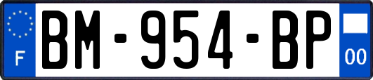 BM-954-BP