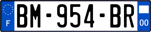 BM-954-BR