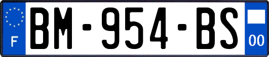 BM-954-BS