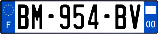 BM-954-BV