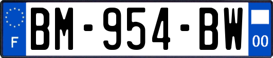 BM-954-BW