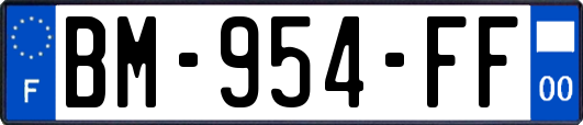 BM-954-FF