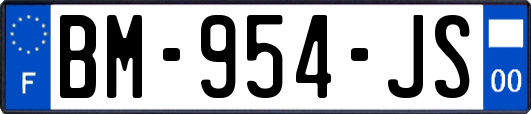 BM-954-JS