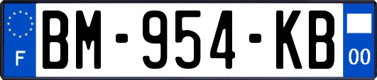 BM-954-KB