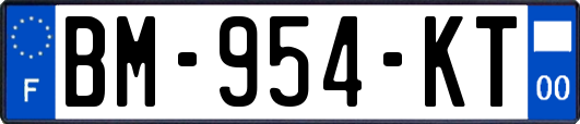 BM-954-KT