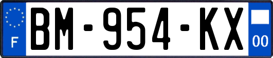 BM-954-KX