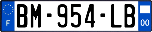 BM-954-LB
