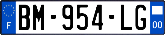 BM-954-LG