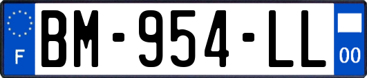 BM-954-LL