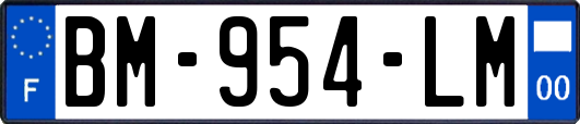 BM-954-LM