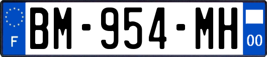 BM-954-MH