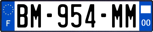 BM-954-MM