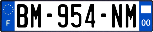 BM-954-NM