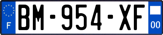 BM-954-XF