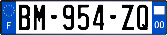 BM-954-ZQ