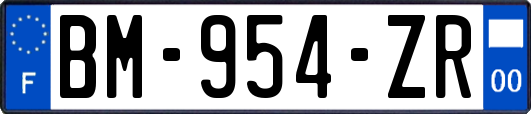 BM-954-ZR