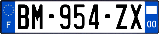 BM-954-ZX