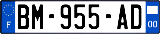 BM-955-AD