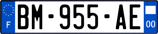 BM-955-AE