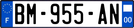 BM-955-AN