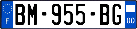 BM-955-BG