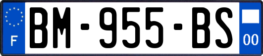 BM-955-BS