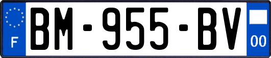 BM-955-BV