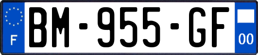 BM-955-GF