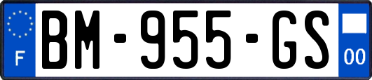 BM-955-GS