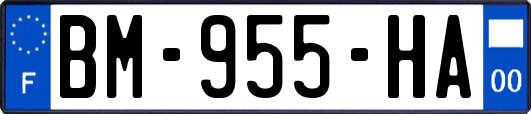 BM-955-HA