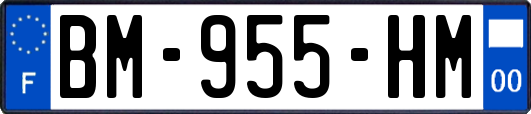 BM-955-HM
