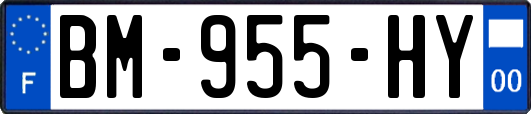 BM-955-HY