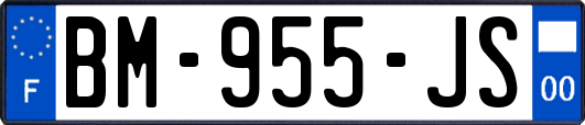 BM-955-JS