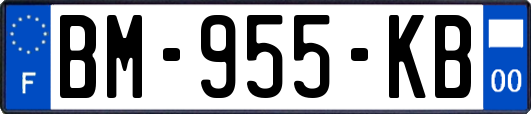 BM-955-KB