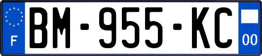 BM-955-KC