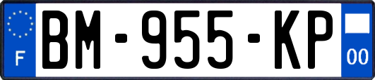 BM-955-KP