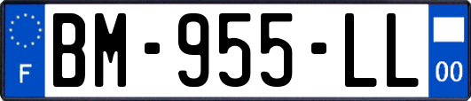 BM-955-LL