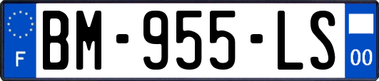 BM-955-LS