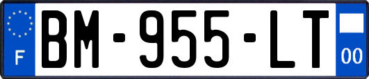 BM-955-LT