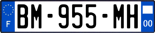 BM-955-MH