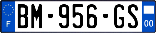 BM-956-GS