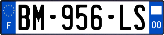 BM-956-LS