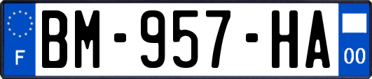 BM-957-HA