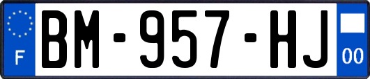 BM-957-HJ